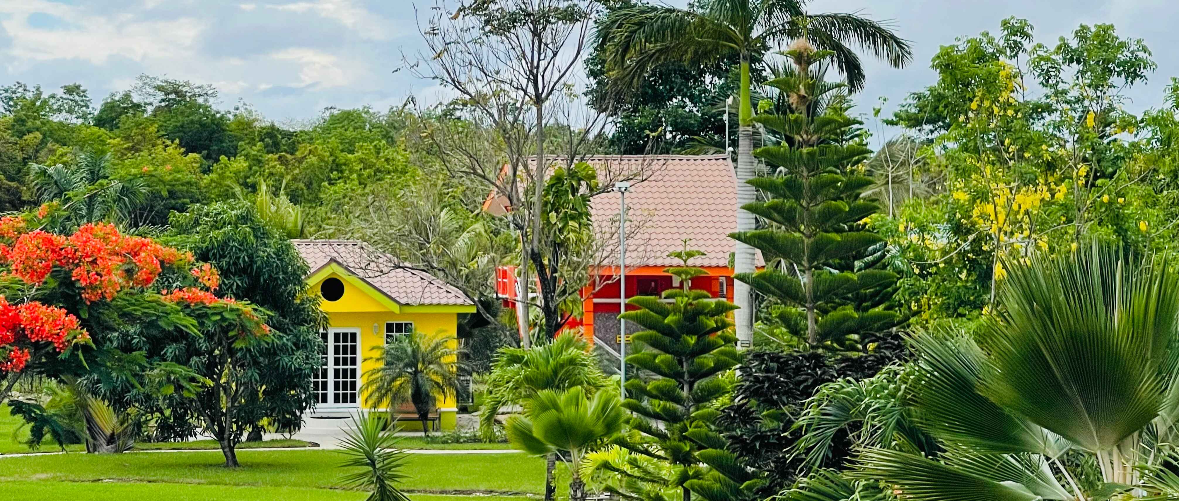 Tropical Belize landscape